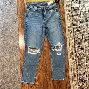 NWT American Eagle 8 Long Strigid Mom Jeans